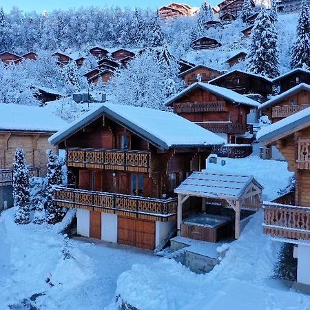 Chalet Individuel 8 Pers A Chatel Porte Du Soleil Avec Jacuzzi Exterieur Eksteriør bilde